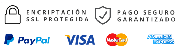 pago seguro